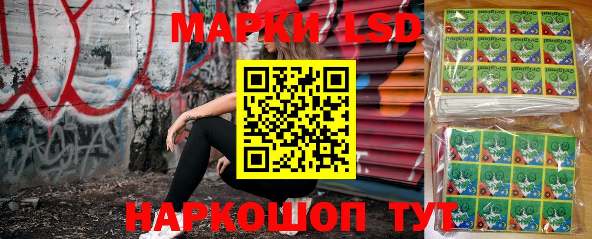 Гай  Марки N-bome 1,8мг  даркнет сайт  Марки N-bome 1,8мг  Вход с VPN 