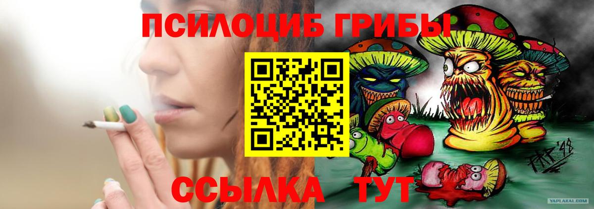 Гай  Галлюциногенные грибы GOLDEN TEACHER  купить наркоту  Вход с VPN  Галлюциногенные грибы ЛСД 